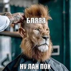 dddddanechka