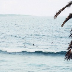 Wild Surf Productions