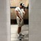 Lewis_1234