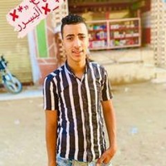 الباشا يسري
