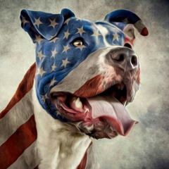 SLYDOG