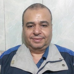 mido hegab