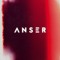 Anser