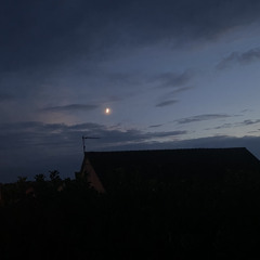 Naufelt