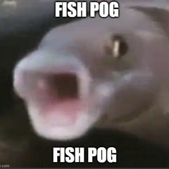 FISH POG