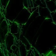 Gwinnett Underground Page