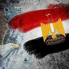 Hatem Abo Elhassan