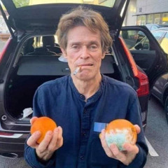 footworkinaforestfire