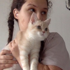 ins_dot_com