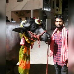 Bunny yadav