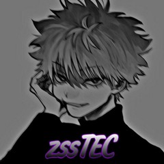 zssTEC