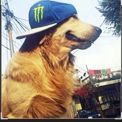 Monsterenegrydrink_fan