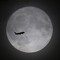 MOOOON