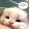 가인