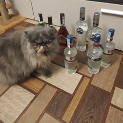 (ﾐꆤ ﻌ ꆤﾐ)∫