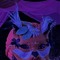 Dr. Foxy Aubade