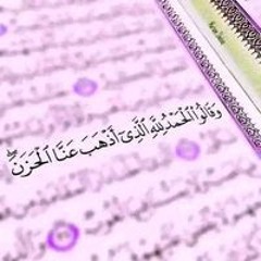Noura Gamal