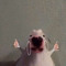 bigpeepee