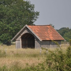Mission Anne Lemmen