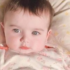 Bibo Habibty