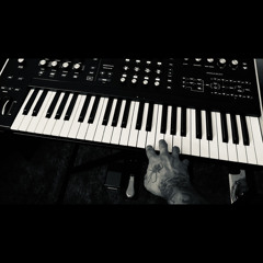 BV and Toy Problem Hardware Live Jam