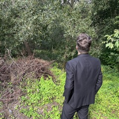 _zenixxj