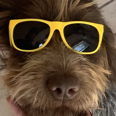 Wesley