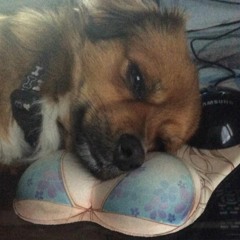 rap music by lil darkie but extremely low quality