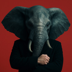 Indie Elephant