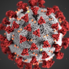 olympicgoldmedalist3005