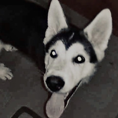 _whiteyy
