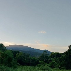 luia