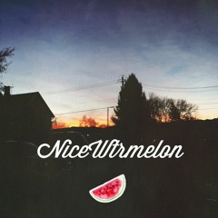 NiceWtrmelon