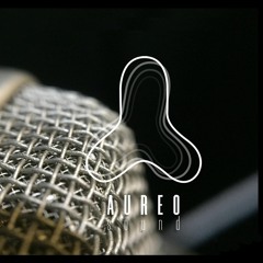 AUREOSOUND