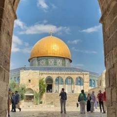 عبد العزيز فرس مصطفى خصيب