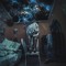 Denis Zool
