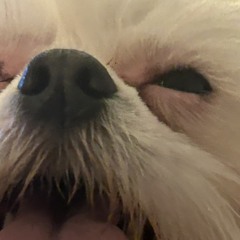 ✩‧¸„.-•~¹°＊+_𝓻➃𝔃０𝓻_+֍°¹~•-.„¸✩