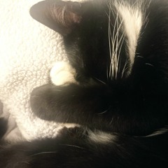 Думаешь мне не похуй?