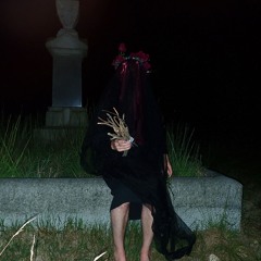 Starlight Hexing Family