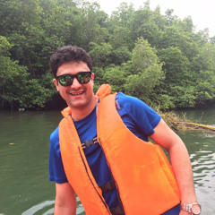 Ahmed S. Ashoor