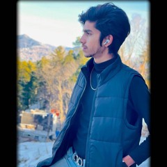 CHAUDHRY 302