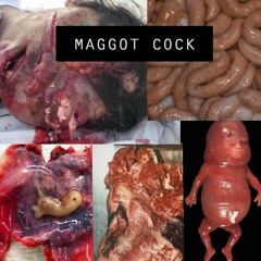 Maggot Cock