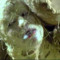 ‎‎‎grieve