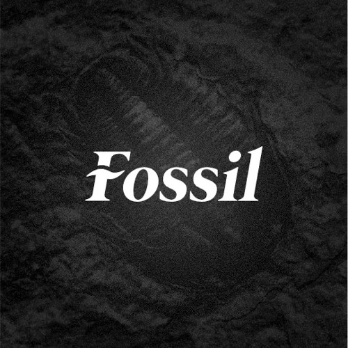 Fossil_’s avatar