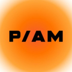 P/AM Project
