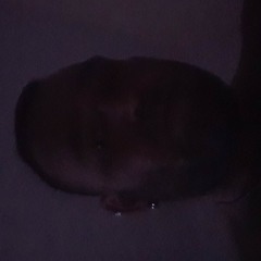 User 108434956