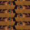 _c4leid0scopi0_