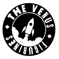 The Venus Figurines