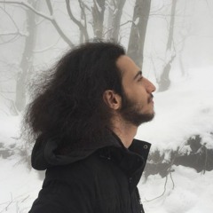 The_DIM