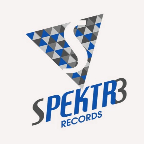 SPEKTR3 Records’s avatar